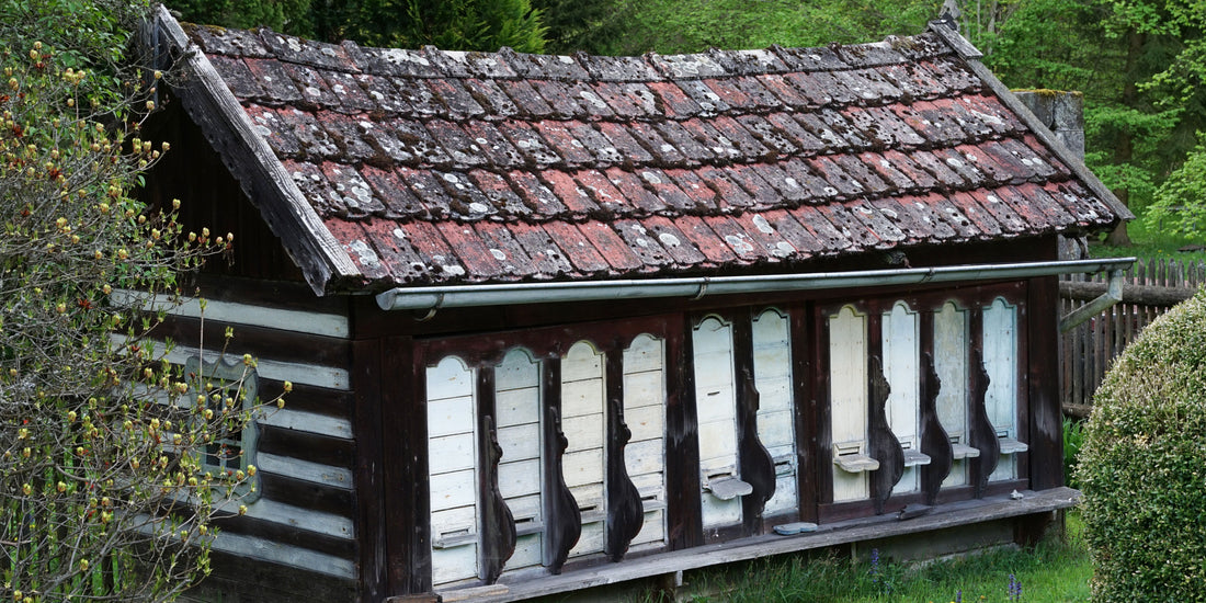 Včely v mytológii a umení – symbol čistoty, práce a obnovy